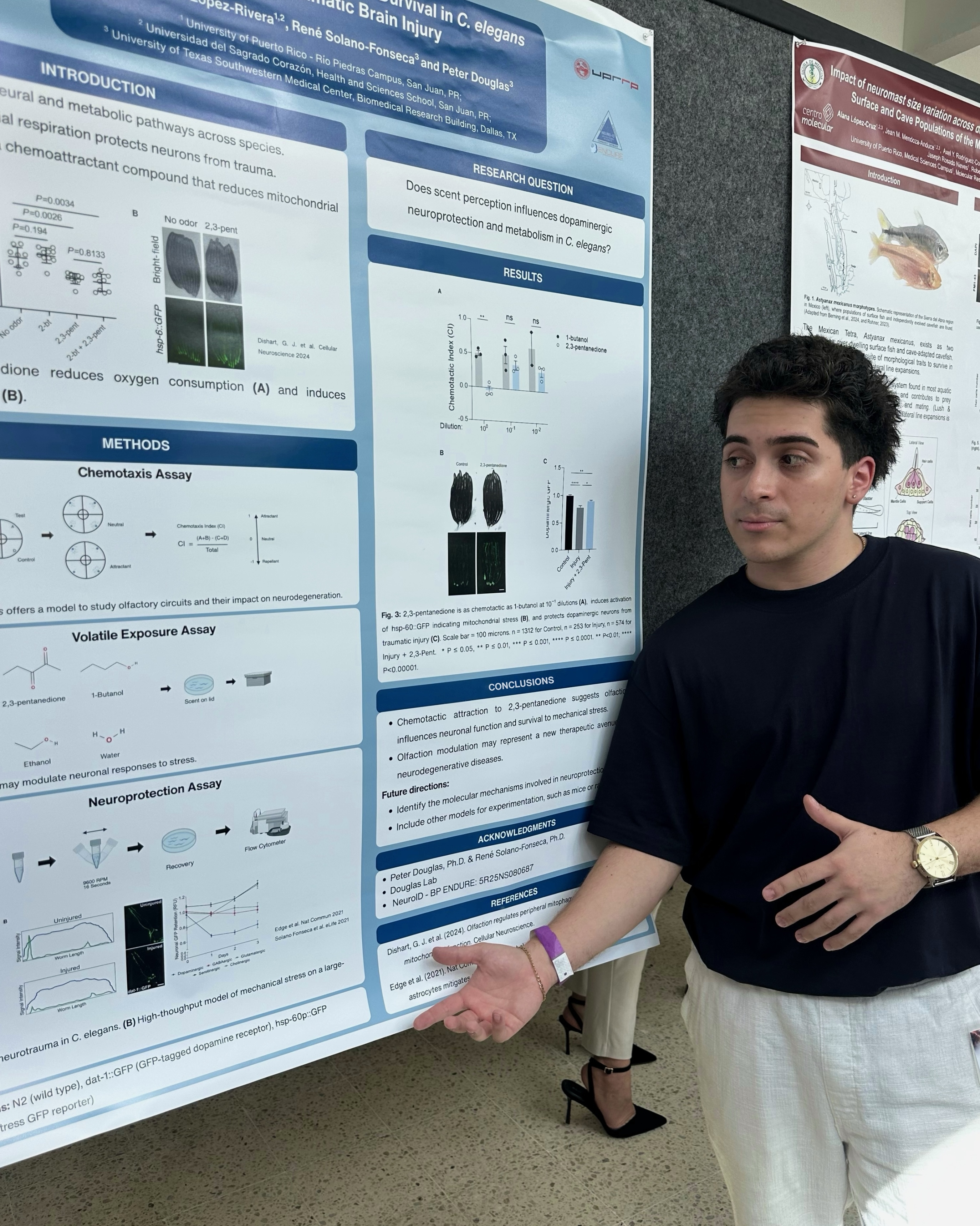 At 33rd PR Neuroscience Conference